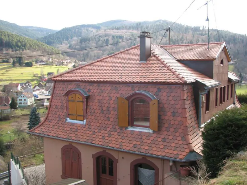 Démoussage de toiture